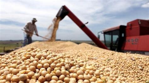 La harina de soja argentina ingresará a China, tras 20 años de ...