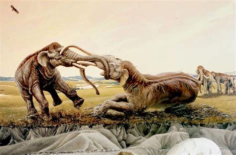 La historia del fósil que reveló la feroz batalla a muerte entre dos ...