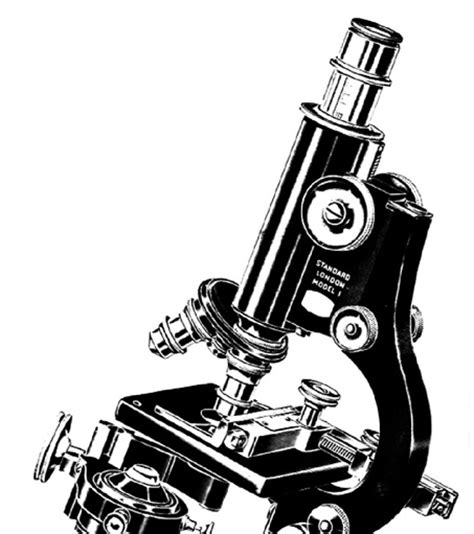 La historia del microscopio   Volumen XXV   Número 1 ...