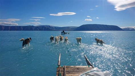 La historia tras la fotografía de Groenlandia derretida