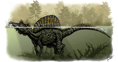 La Hormiga y la Cigarra: El primer dinosaurio semiacuático ...