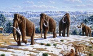 La humedad impulsó la extinción de la megafauna de la Edad de Hielo ...
