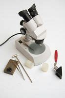 La importancia del microscopio óptico en Biología ...