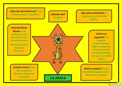 La jirafa información para niños   La jirafa infografía ...