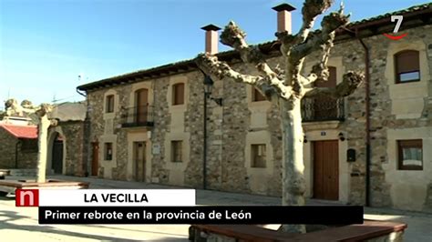 La Junta de Castilla y León confirma tres casos positivos ...