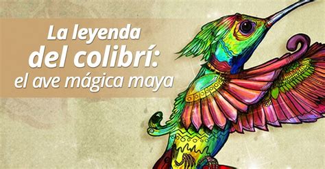 La leyenda del colibrí: el ave mágica maya | Leyenda del colibri ...