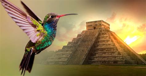 La leyenda maya del colibrí que conmueve a niños y adultos | Bioguia