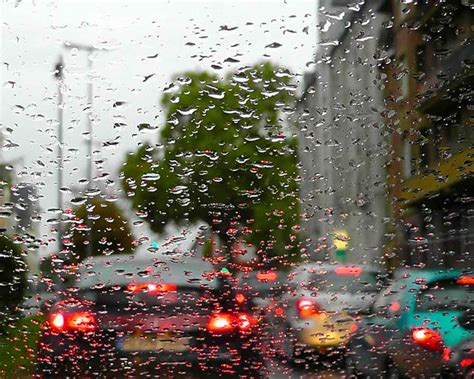 La lluvia: esperada en el campo, caótica en la ciudad