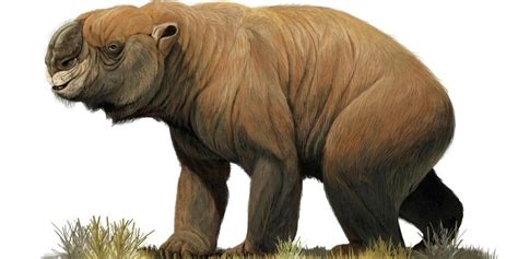 La megafauna extinta de Australia   Mis Animales