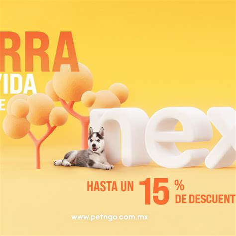 La mejor tienda online para mascotas en México — pet n GO