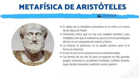 La METAFÍSICA de Aristóteles   [RESUMEN fácil + VÍDEOS y EJERCICIO]