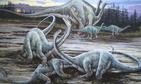 La muerte de los dinosaurios pudo comenzar antes de lo pensado
