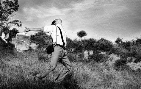 La muerte del miliciano. | Sin duda, Robert Capa es mi fotóg… | Flickr