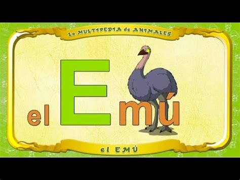 la Multipedia de animales. Letra E   el Emú   YouTube