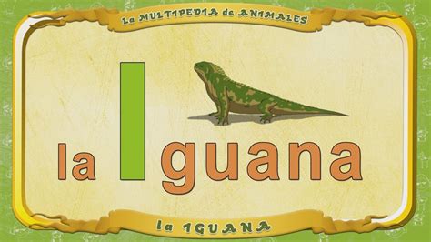 la Multipedia de animales. Letra I   la Iguana   YouTube