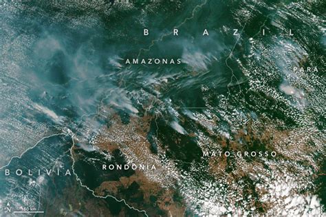 La NASA divulga imágenes de los incendios forestales en el ...