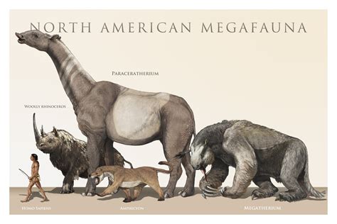 La noche de los gigantes  y VI . La Megafauna africana y la extinción ...