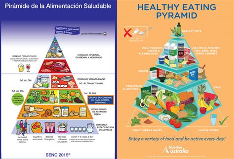 La nueva pirámide nutricional sigue teniendo errores ...