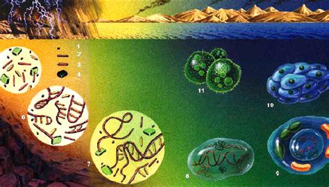 La paradoja del origen de la vida | Bio  Ciencia+Tecnología