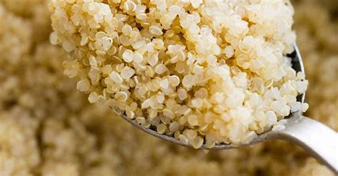 La Quinoa: El Super Alimento Que Tiene Más Beneficios Que La Avena ...