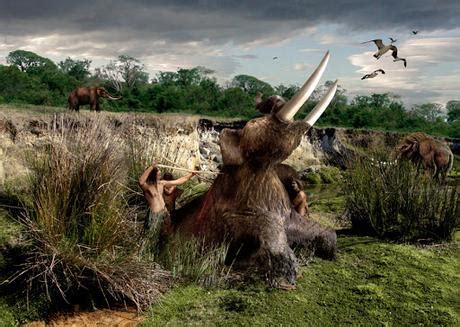 ¿La razón de la extinción de la megafauna?   Paperblog