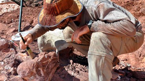 La Rioja: hallan fósiles de dinosaurios de más de 70 millones de años ...