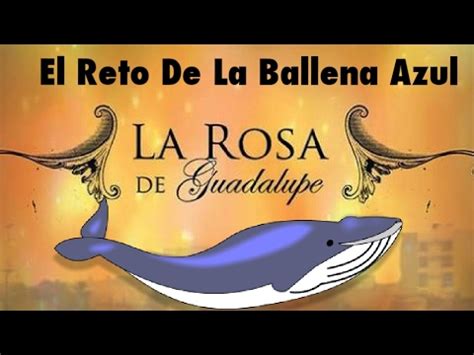La Rosa De Guadalupe  El Juego De la Ballena Azul  En ...