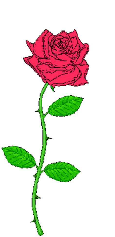 La rosa i el llibre de Sant Jordi 2013