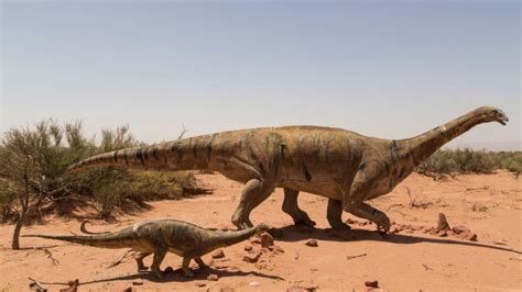 La ruta de los dinosaurios, otro corredor turístico que ...