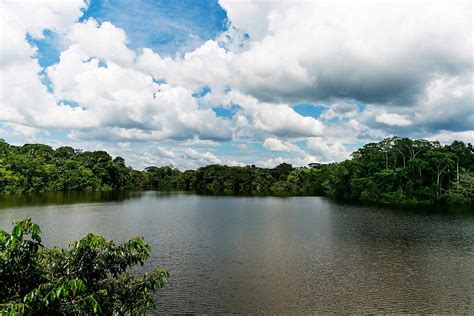 La Selva Amazon Eco Lodge Review | Amazon Rainforest ...