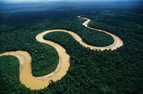 La selva amazónica creció hace 2 mil años | ANA web ...
