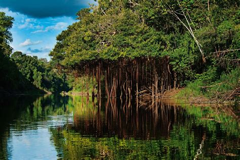 La selva amazónica peruana: el paraíso en la Tierra