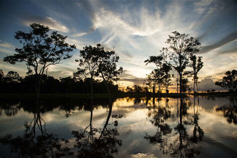 La selva amazónica peruana: el paraíso en la Tierra