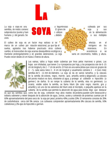 La soja o soya es una especie de la familia de las leguminosas ...