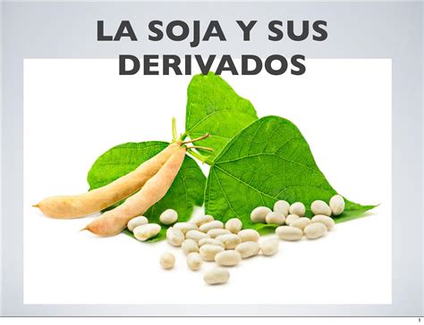 La soja y sus derivados by CENTRO DE ACUPUNTURA FU QI Issuu
