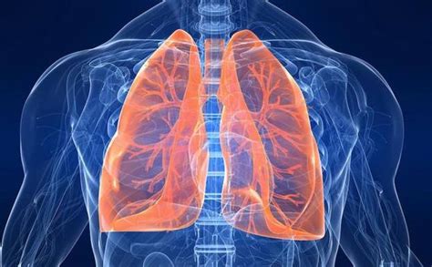 La supervivencia al cáncer de pulmón aumenta con los ...
