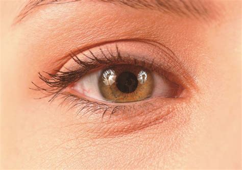 La uveítis: una enfermedad del ojo que es una de las ...