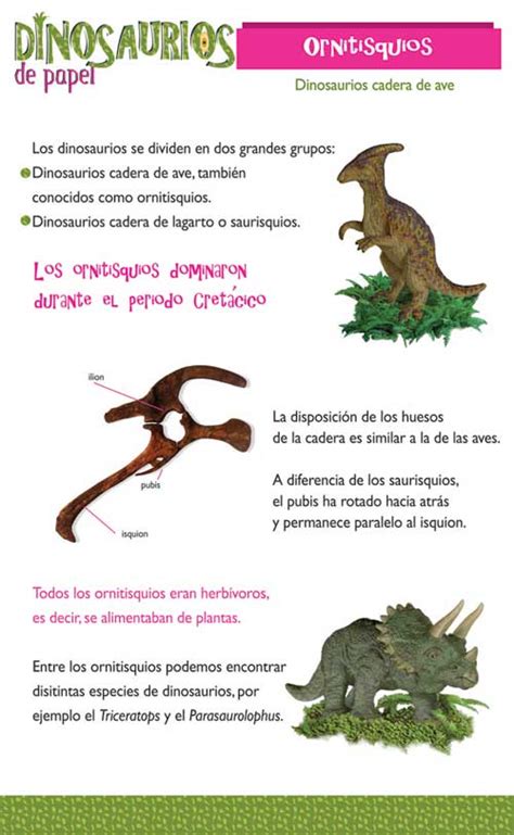 La vida de los dinosaurios : TIPOS DE DINOSAURIOS