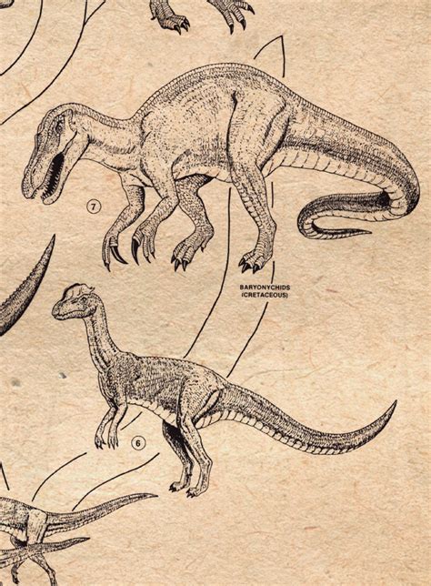 Lámina vintage evolución dinosaurios carnívoros ...