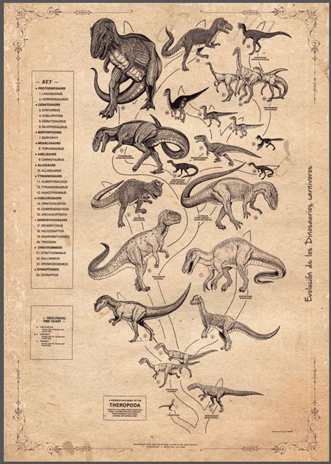 Lámina vintage evolución dinosaurios carnívoros ...