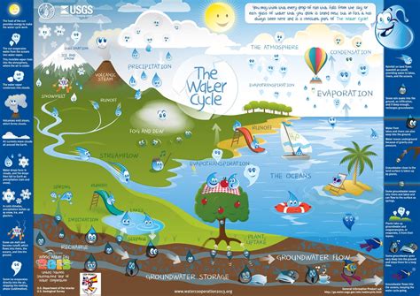Láminas del ciclo del agua   Imagui