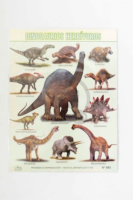 Laminas escolar Maucci x 5 Nº 983 dinosaurios herbivoros