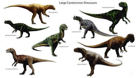 Large Carnivorous Dinosaurs