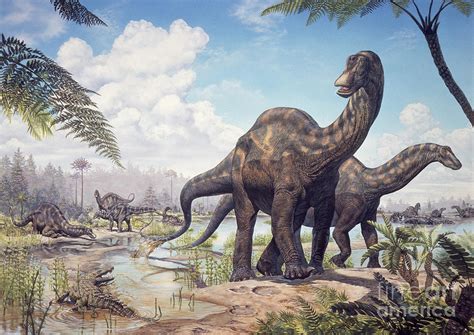 Large Dicraeosaurus Sauropods Digital Art by Mark Hallett