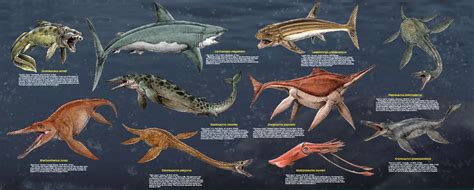 Large Prehistoric Sea Monsters | Sea monsters, Deep sea creatures ...