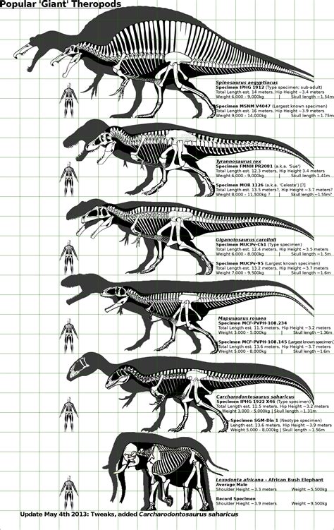 largest #theropods. #dinosaurs | Prehistoric creatures ...
