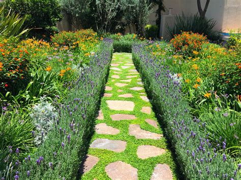 Las 10 mejores plantas de exterior para jardines modernos