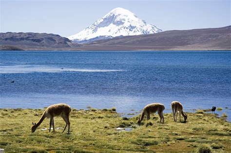 Las 10 Postales de Chile | Las Mil Millas