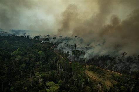 Las 3 causas de los incendios en el Amazonas.  Imágenes ...