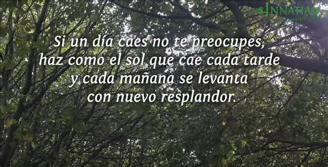 Las 30 mejores frases de solidaridad para expresar apoyo ...